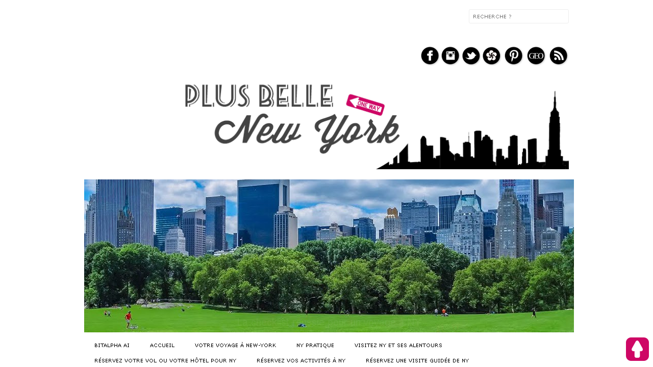 Capture d'écran de http://www.plusbellenewyork.com
